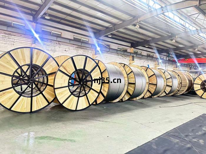 鋼(gang)芯(xin)鋁絞(jiao)線(xian)生產(chan)廠(chang)家